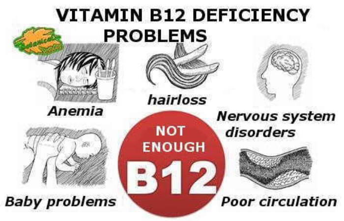 What causes vitamin B12 deficiency Fight Anaemia