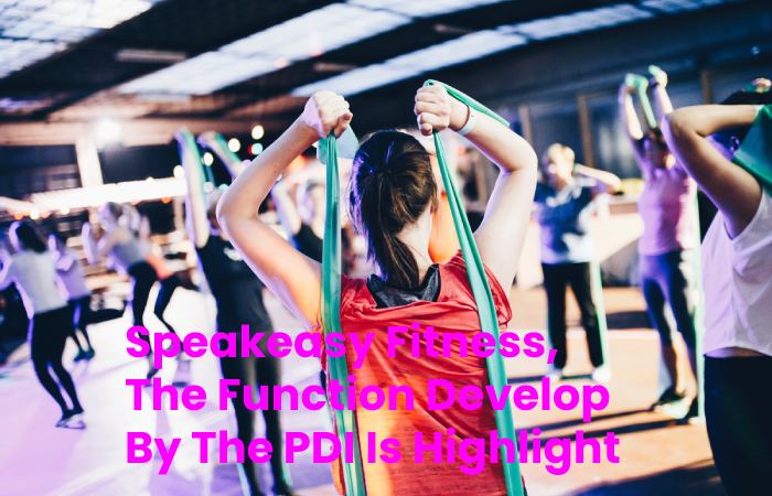 Speakeasy Fitness, The Function Develop By The PDI Is Highlight