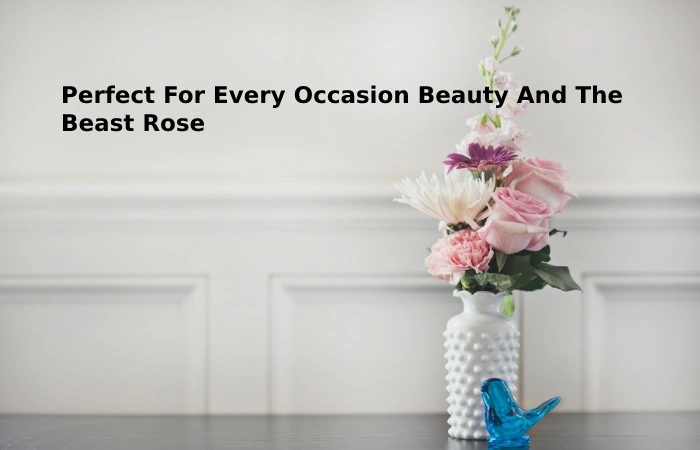 Perfect For Every Occasion Beauty And The Beast Rose