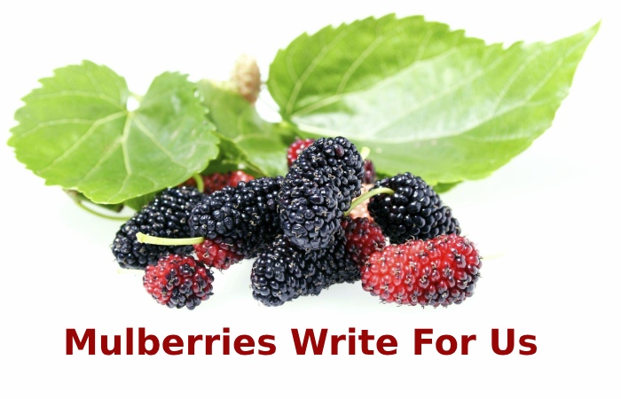 Mulberries Write For Us