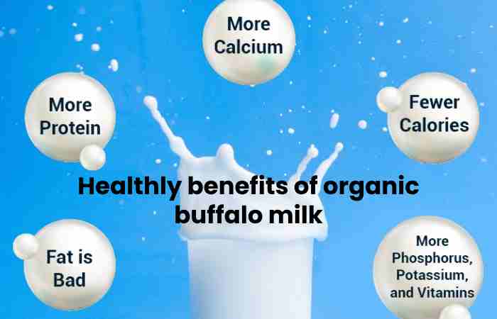 Healthly benefits of organic buffalo milk